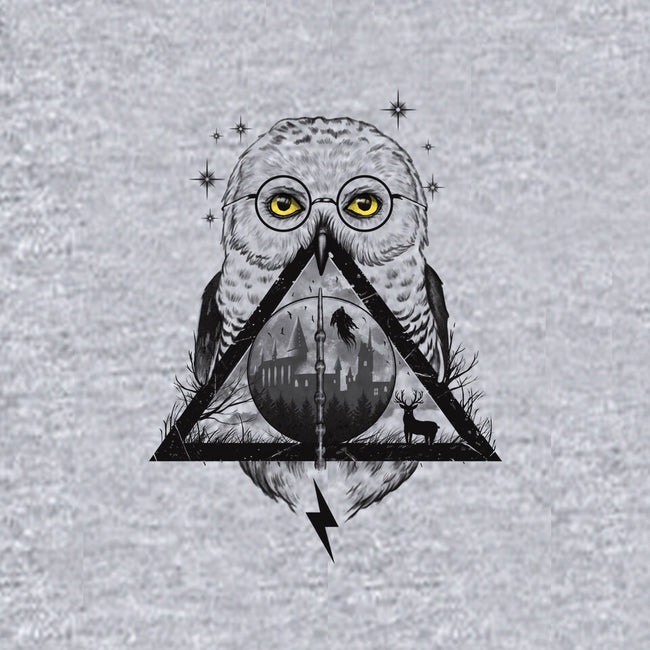 Owls and Wizardry-baby basic tee-vp021