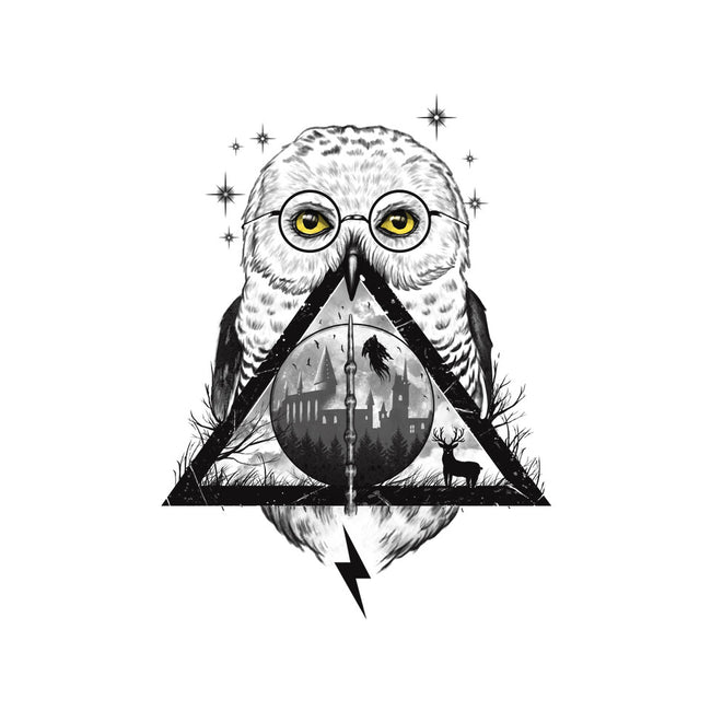 Owls and Wizardry-mens premium tee-vp021