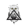 Owls and Wizardry-mens basic tee-vp021