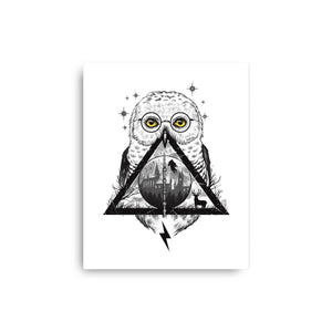 Owls and Wizardry