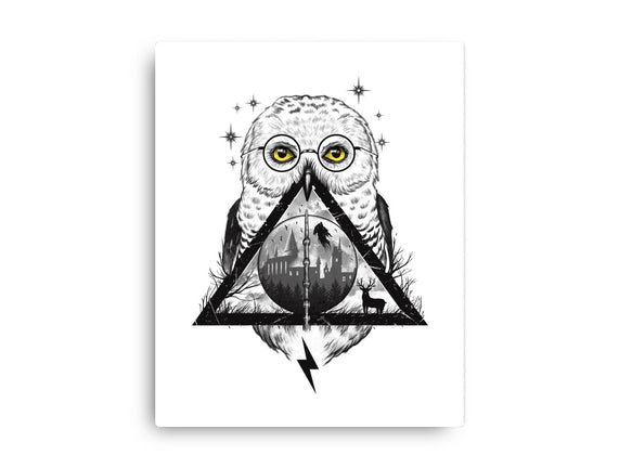 Owls and Wizardry