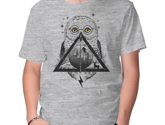 Owls and Wizardry