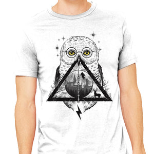 Owls and Wizardry