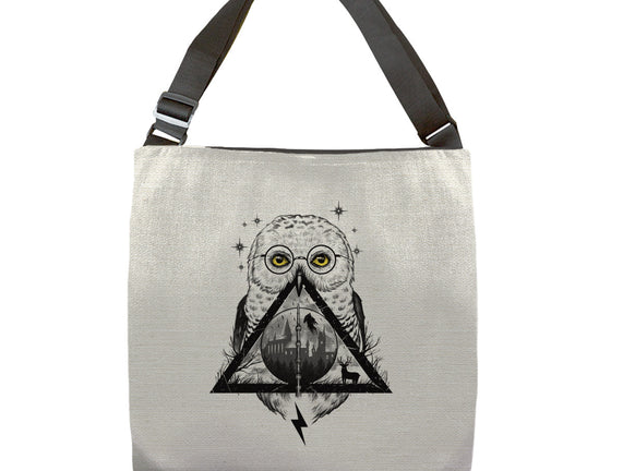 Owls and Wizardry