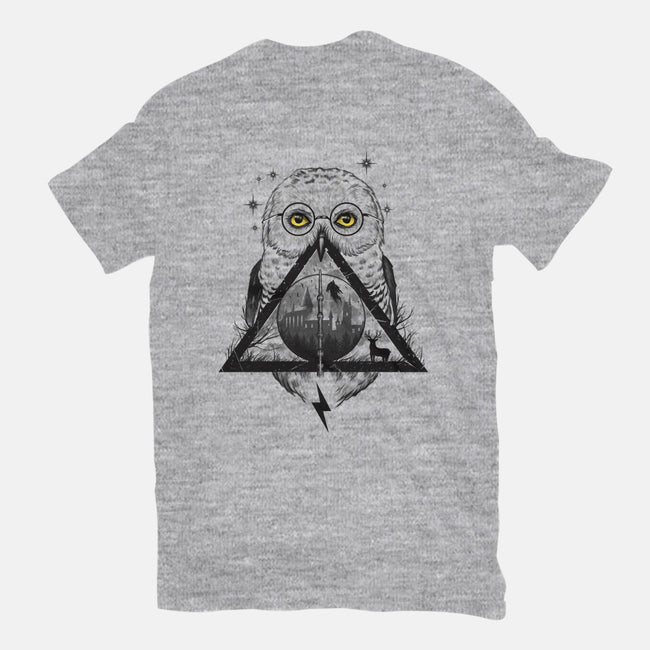 Owls and Wizardry-womens basic tee-vp021