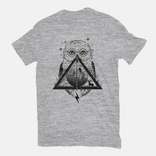 Owls and Wizardry-mens heavyweight tee-vp021