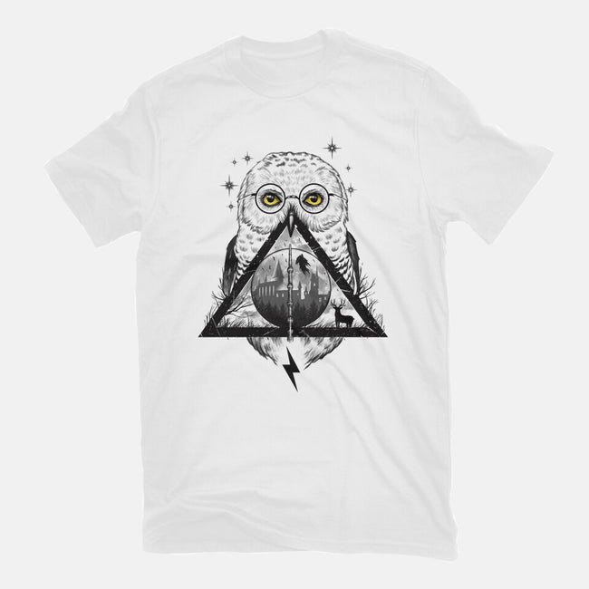 Owls and Wizardry-womens fitted tee-vp021
