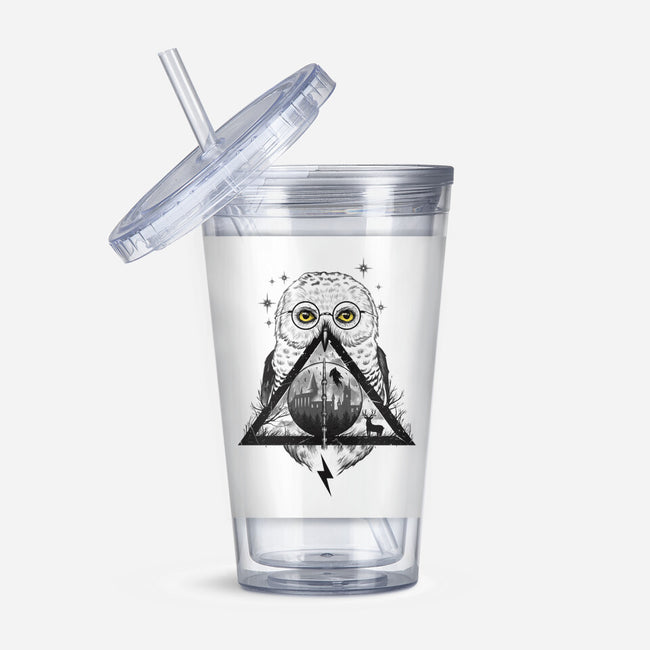 Owls and Wizardry-none acrylic tumbler drinkware-vp021