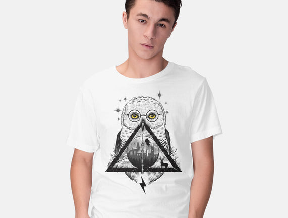 Owls and Wizardry