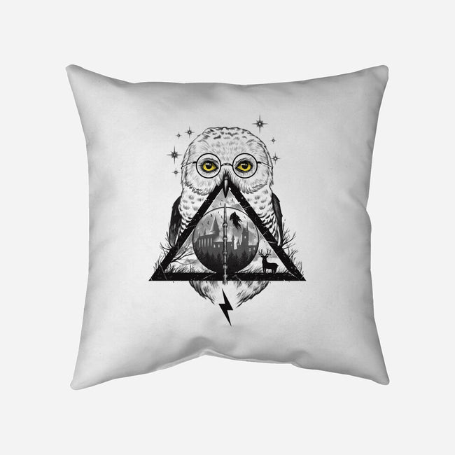 Owls and Wizardry-none removable cover w insert throw pillow-vp021