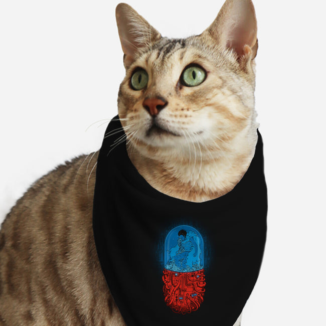 Neo-Tokyo Experiment-cat bandana pet collar-pigboom