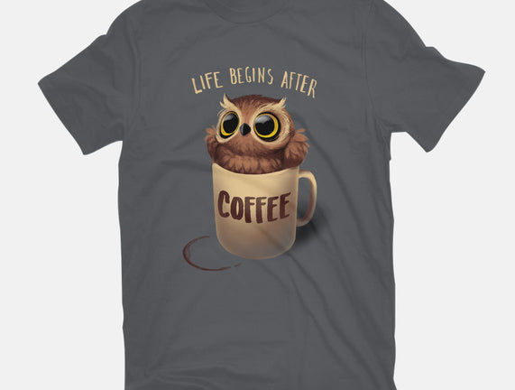 Night Owl