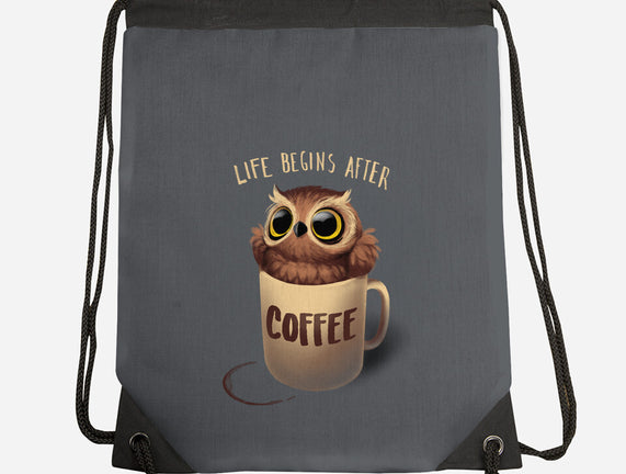 Night Owl