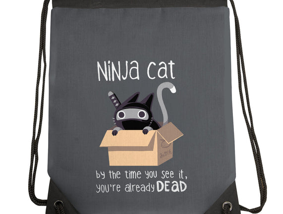 Ninja Cat