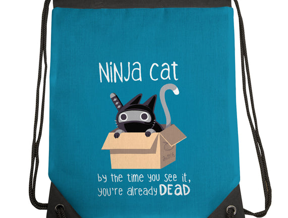 Ninja Cat