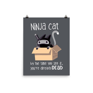 Ninja Cat