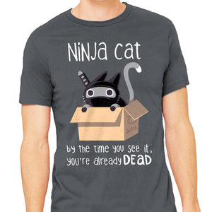 Ninja Cat