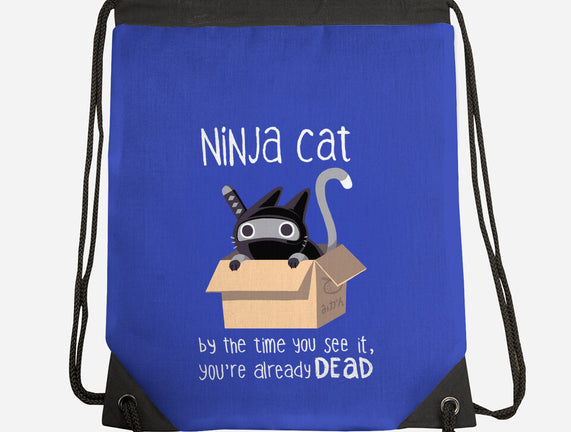 Ninja Cat