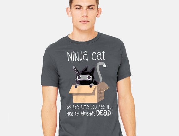 Ninja Cat