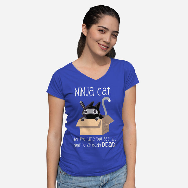 Ninja Cat-womens v-neck tee-BlancaVidal