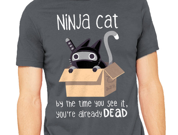 Ninja Cat