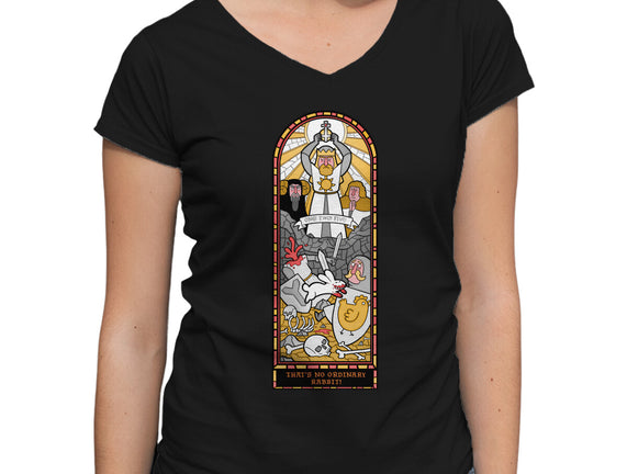 No Ordinary Rabbit!