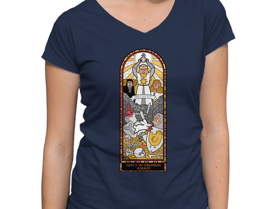 No Ordinary Rabbit!