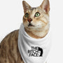 Nobody Does It Better-cat bandana pet collar-seventoes