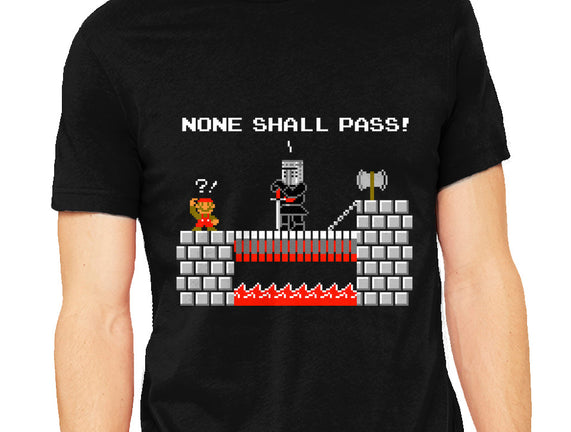 None Shall Pass Including Plumbers