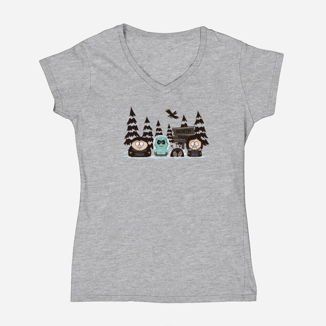 North Park-womens v-neck tee-ducfrench