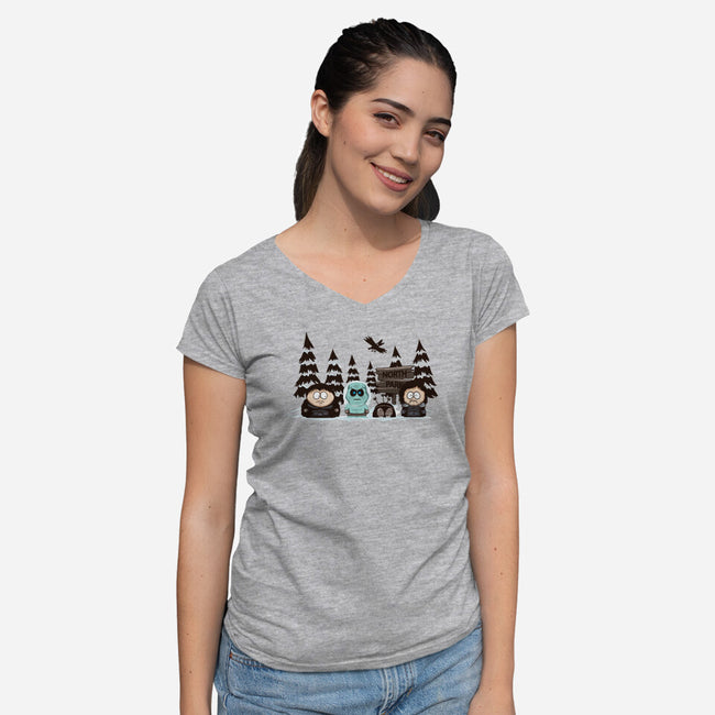 North Park-womens v-neck tee-ducfrench
