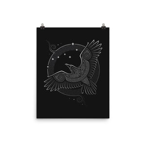 Northern Raven