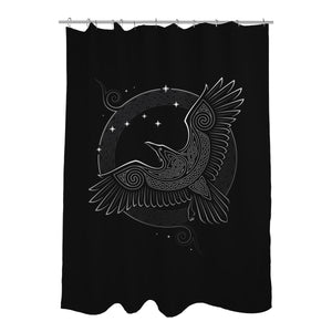 Northern Raven