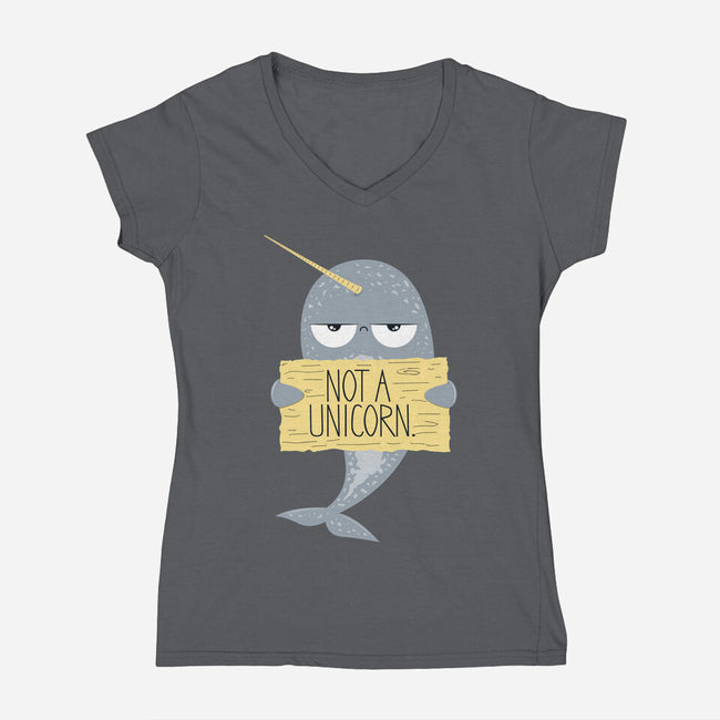 Not A Unicorn-womens v-neck tee-PolySciGuy