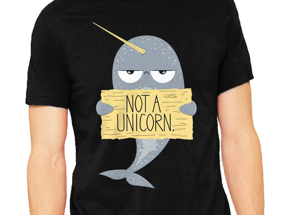 Not A Unicorn