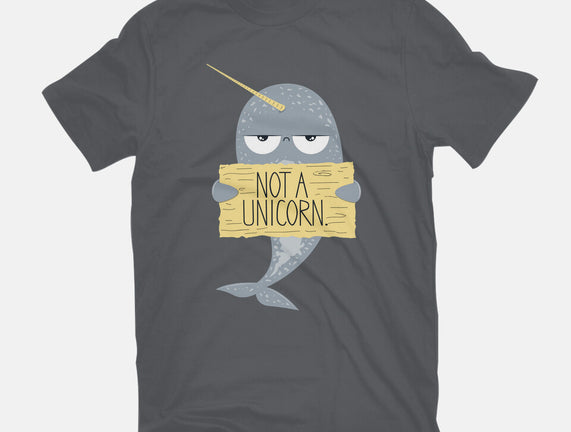 Not A Unicorn