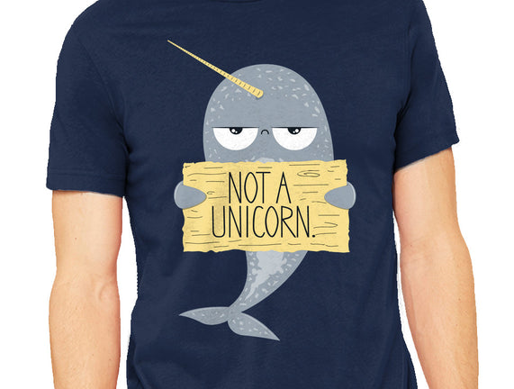 Not A Unicorn