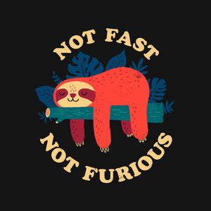 Not Fast, Not Furious