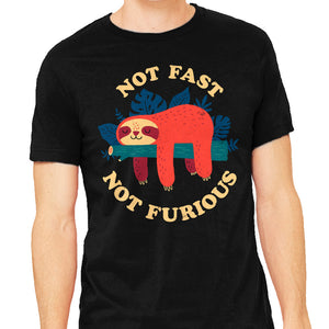 Not Fast, Not Furious