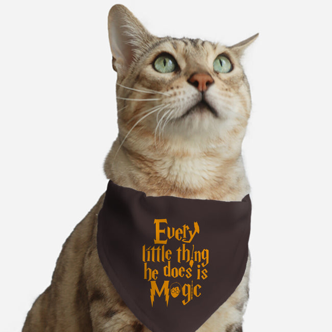 Magic Man-cat adjustable pet collar-Boggs Nicolas