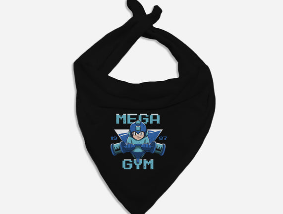 Mega Gym