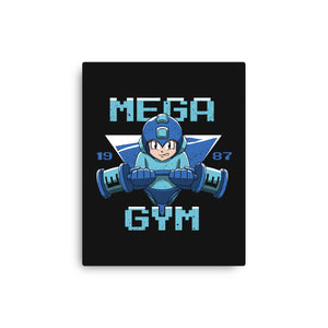 Mega Gym