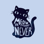 Meow or Never-youth pullover sweatshirt-NemiMakeit