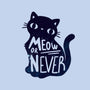 Meow or Never-none beach towel-NemiMakeit