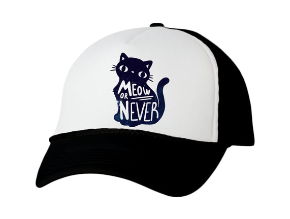 Meow or Never