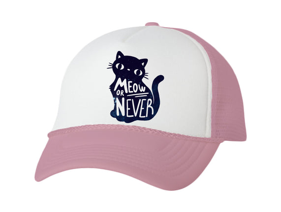 Meow or Never