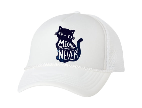 Meow or Never