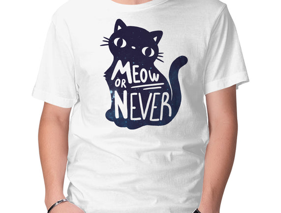 Meow or Never