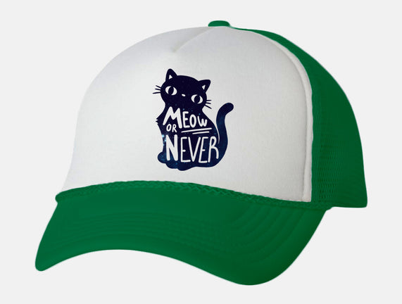 Meow or Never