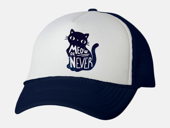 Meow or Never